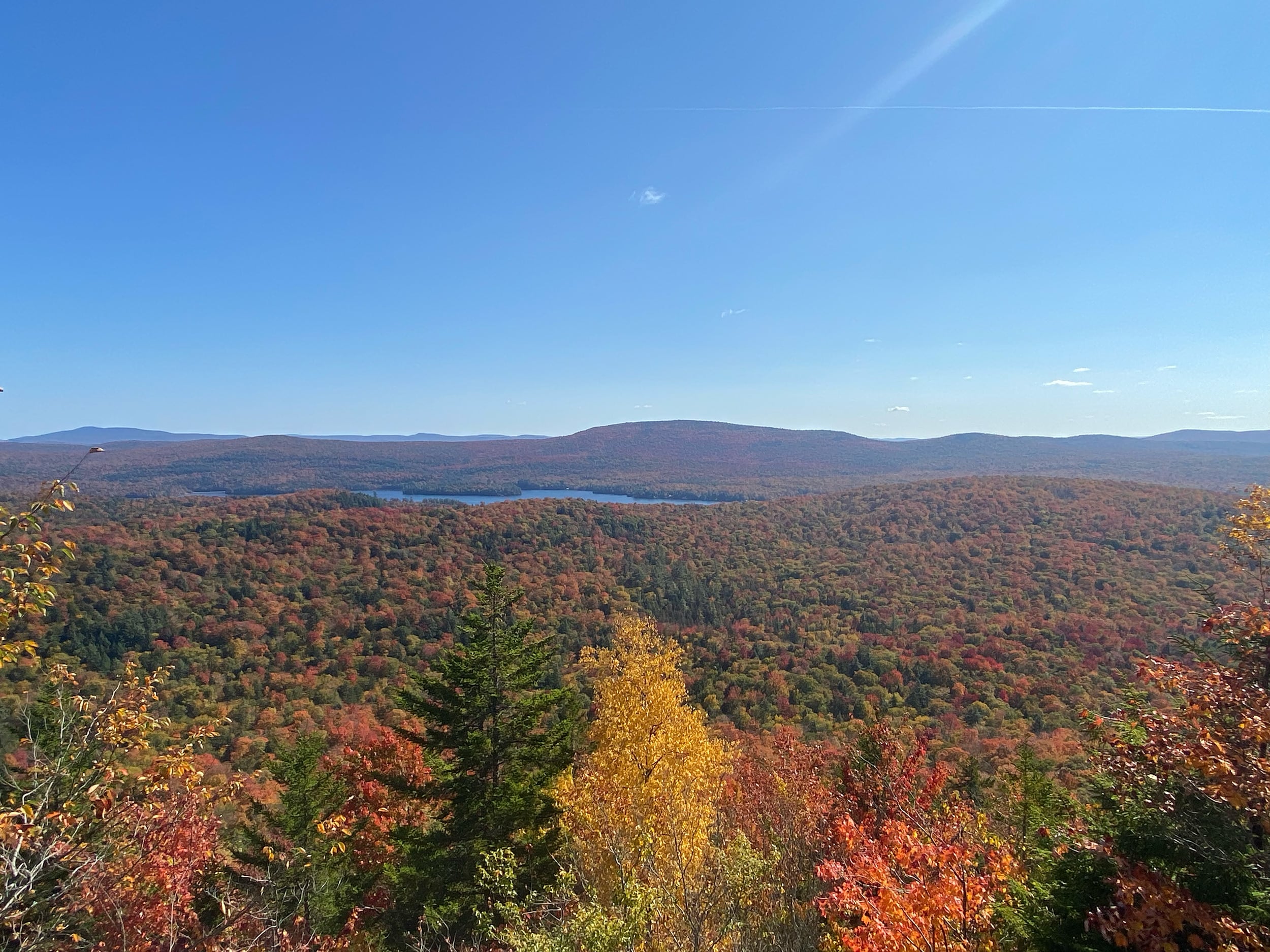 Explore our beautiful landscapes, vibrant communities, and rich local history.